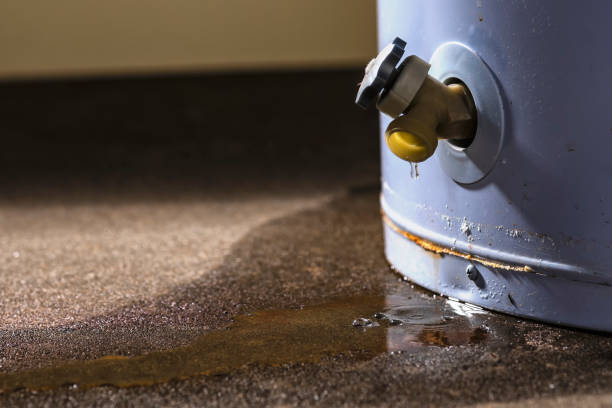 Best Emergency water extraction  in Olyphant, PA
