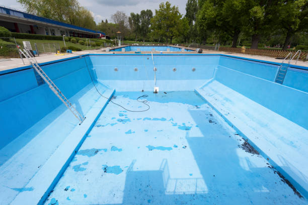 Best Local water damage restoration  in Olyphant, PA