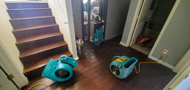 Best Sewage cleanup and water damage restoration  in Olyphant, PA