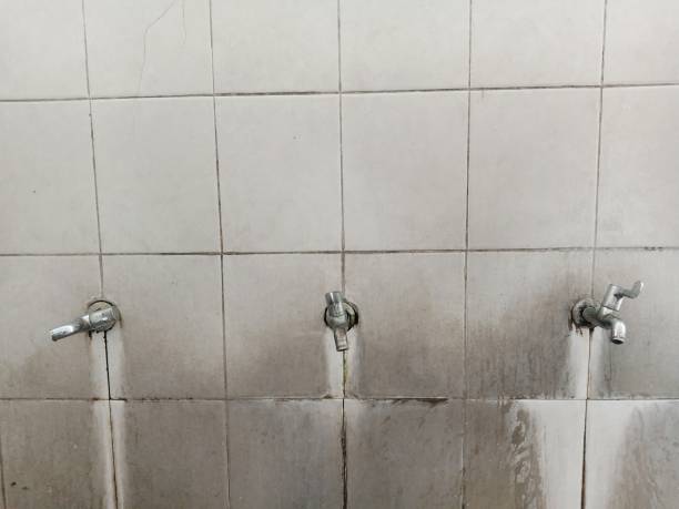 Best Carpet water damage restoration  in Olyphant, PA