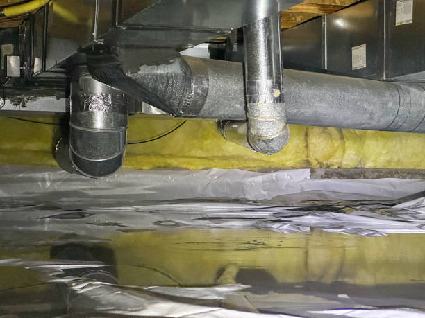 Best Residential water damage restoration  in Olyphant, PA