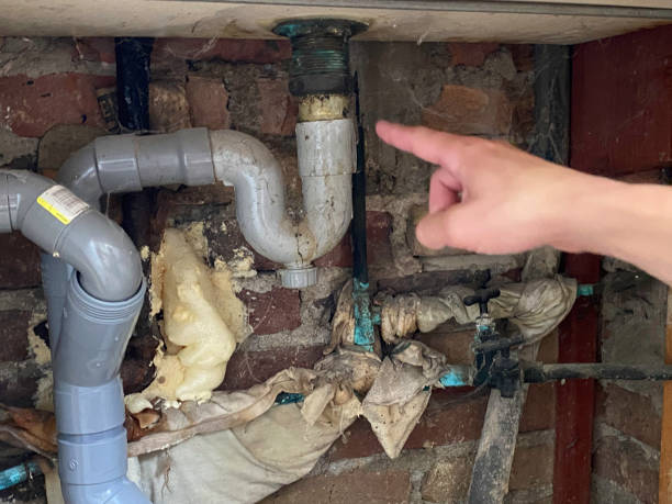 Best Local water damage restoration  in Olyphant, PA